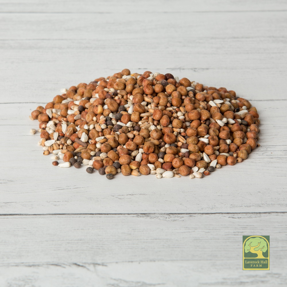 Laverock Bird food - Super Junior-1